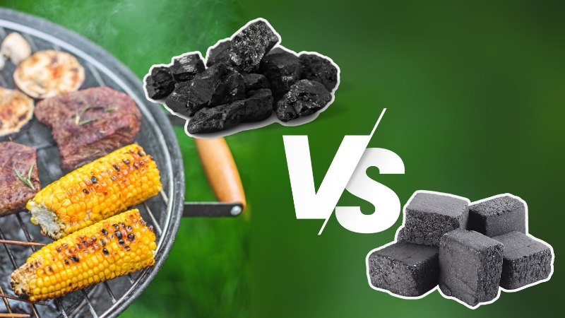 Houtskool of briketten: wat is beter? 